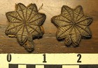 Pair Civil War Subdued Bullion Lieutenant Colonel Oak Leaves