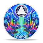 8 Year Sobriety Coin Alcoholics Anonymous Aa Chips And Medallions Sobriety Gifts