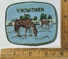 Vintage Kentucky Horse Farm Iron On Patch State Travel Souvenir