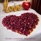 5oz Real Dried Rose Petals For Bath  Candles  Wedding   Romantic Decor