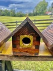 North Georgia Farm Made Bluebird Log Cabin Birdhouse Rustic Farmhouse