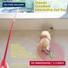 Cat Toys For Indoor Cats  Interactive Cat Toy 2pcs Retractable Wand Toy And 9pcs