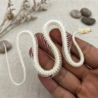 Ibedding Taxidermy Real Snake Skeleton Animals Skull Decor