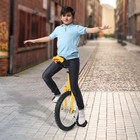 16 Inch Fitness Wheel Cycling Unicycle Balance Training Exercise Unicycle W rim
