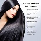Soft Black Henna Powder Natural Hair Color Hair Dye 100  Chemical Free Organic