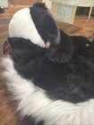Fao Schwarz Big Tails Skunk Plush 11  Laying Stuffed Animal W  Tag New