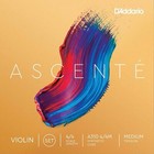 Ascente A310 4 4m Violin String Set 4 4 Scale Medium Tension D addario