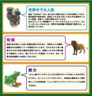 Hansa Snow Leopard 70