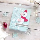 Hero Arts  peeking Winter Bear  Holiday Christmas Steel Fancy Dies Df211 2024