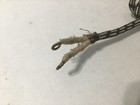 Vintage Cloth Covered Electric Appliance Cord Black silver 6 Foot Bare Ends Nos