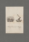 3 Ex Libris Antique Exlibris By Unknown Artist   Europe 