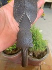 Mughal Period 18th C Antique Handcrafted Iron Combat Warrior Spear Head Lance
