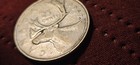 Canada 1947 25c Silver Quarter George Vi Caribou Reverse  Km  42a  800