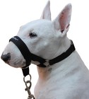 Nylon Dog Head Collar Halter Black 6 Sizes