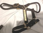 Lot Of 6 Used Standardbred Leather Halters -hanover Shoe Farms-