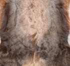 African Genuine Blesbok   Blesbuck Hide With Or Without Felt Backing - New