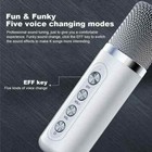Portable Wireless Bluetooth Speakers With 2 Microphone Home Ktv Karaoke Machine