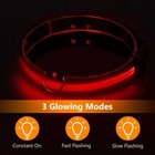 Usb Rechargeable Led Pet Dog Collar Night Safety Adjustable Flash Light-up