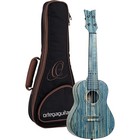Ortega Guitars  4-string Bamboo Series All Solid Concert Ukulele W bag Kit