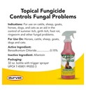 Topical Fungicide Ringworm Girth   Summer Itch Horse Dog   Cat 32oz Made In Usa
