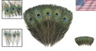 120 Real Natural Peacock Feathers 10-12 Inch Diy Craft