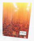 Indian Artifacts  The Best Of The Midwest Id   Value Guide By Lar Hothem 2008