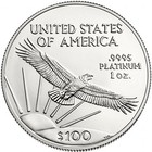 1 Oz American Platinum Eagle Coin  random Year  Bu 