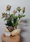 6  7  Handmade Seashell Art beautiful Seashells Flowers Made With Fl  Seashells
