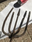 Large Antique 5 Tine Wrought Iron Eel Fish Salmon Spear Hand Forged 20 1 8   