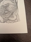Vintage Shar Pei  Dog Art Blank Cards Earl Sherwan 10 10 Cards envelopes 1987