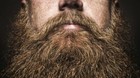 Beard Buddy - All Natural Organic 2oz Beard Wash And 0 5 Beard Oil Fresh Scent