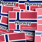 Norwegian Coins          5 Unique Random Coins From Norway For Coin Collecting         