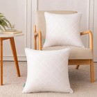 18x18 Soft Decorative Throw Pillow Inserts Set Of 2 Couch Cushion Inserts