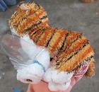Webkinz Alley Cat No Code