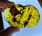 A101 Bu7106 Beautiful 42g Millipedes Ants Spider Burmese Amber Burmite 99mya