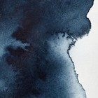 Winsor   Newton Professional Watercolor  0 17 Fl Oz  pack Of 1   Payne s Gray 