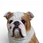 English Bulldog Figurine Sitting Ornament Sculpture Home Garden Decoration 20cm