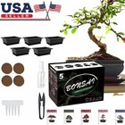 Complete Bonsai Starter Kit 5 Seed Varieties Indoor Diy Growing Beginner Gift