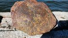 Jasper Red   Yellow Rough Material Possible Lapidary Display Collect Cab 5 1 Lbs