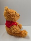 Winnie The Pooh Bear Plush Disney Exclusive Collectible Bean Bag Stuff With Tags
