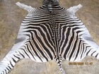 South African Burchell Zebra Rug