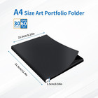30 Pocket Presentation Binder With Plastic Sleeves  Displays 60 Pages  9x12 Art