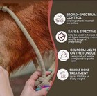 10 Pack New Paste Wormer Horse Dewormer Apple Flavor-free Shipping Exp01 2028
