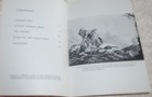 Art Of The Eastern Plains Indians-the Nathan Javis Collection-brooklyn Museum