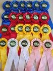 Hunter Jumper Horse Show Ribbons Awards Equestrian Events No Center Streamers