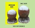 Genuine Asin Tibuok Dino Egg Artisanal Coconut Sea Salt Bohol Phil  medium Size 