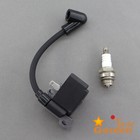 Ignition Coil   Spark Plug For Stihl Bg45 Br45 Bg46 Bg50 Bg55 Bg65 Bg85 Sh55