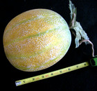 Artificial Faux Fake Food Rare Whole Cantaloupe Produce Display Stage Fruit Prop