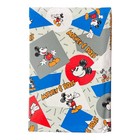 Disney Mickey Mouse Applause Telephone   Address Book