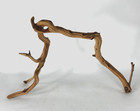 Manzanita Driftwood Branch 24  Aquascaping Home Decor Terrarium Reptile